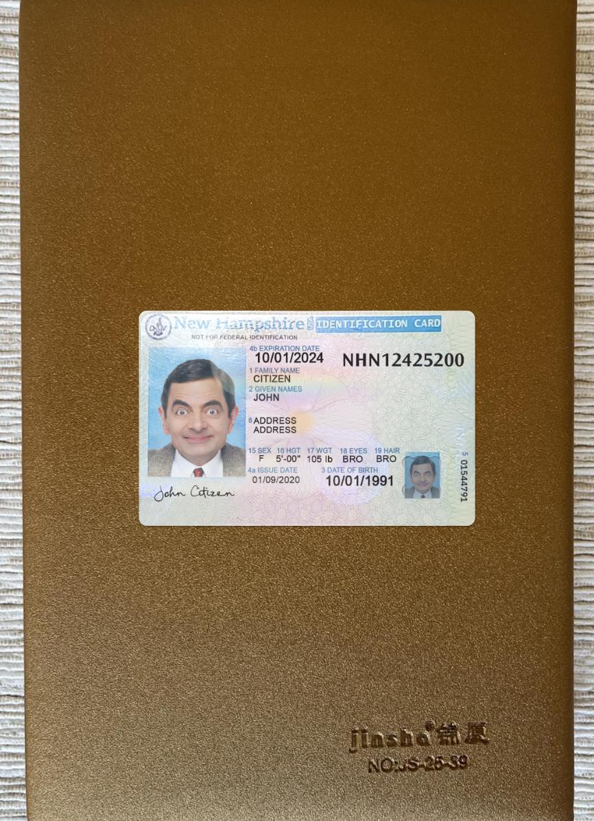 Printable USA New Hampshire ID card photolook real example